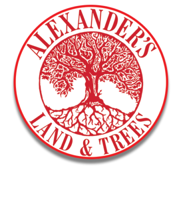 alexanders land and trees sticker