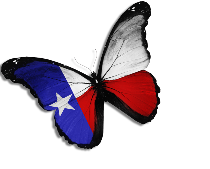 butterfly texas flag sticker
