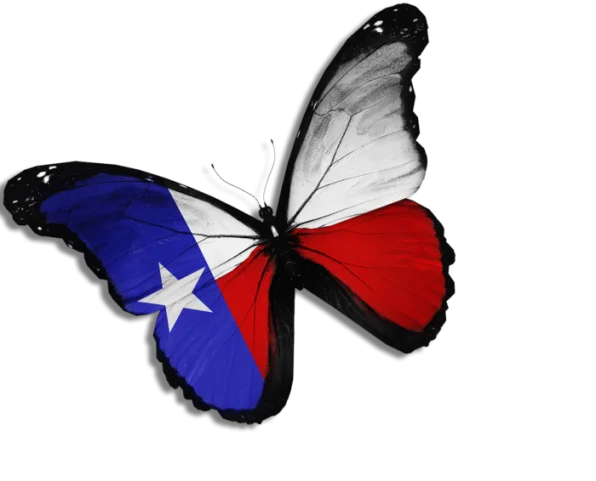 butterfly texas flag sticker